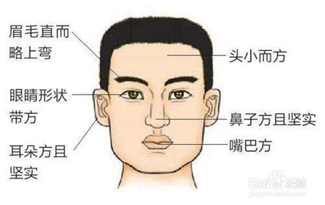 木型人面相|木形人的面相特征